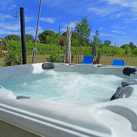 La Casa Della Nonna Bed & Breakfast Brisighella