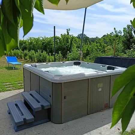 La Casa Della Nonna Brisighella